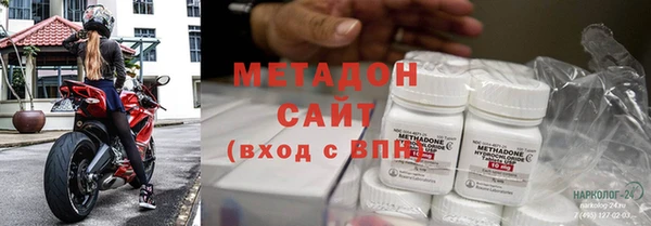 шишки Надым