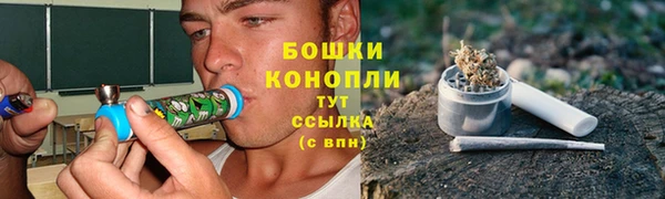 шишки Надым