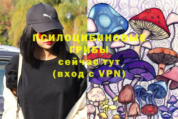 шишки Надым