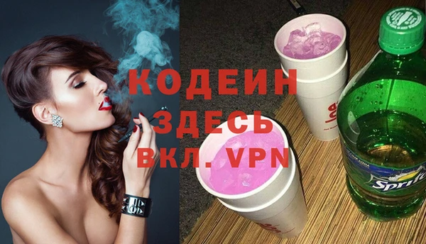 шишки Надым