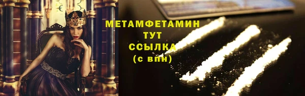 шишки Надым