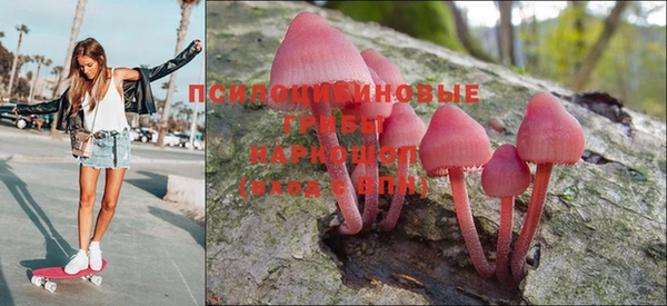 соль курить ск Михайлов
