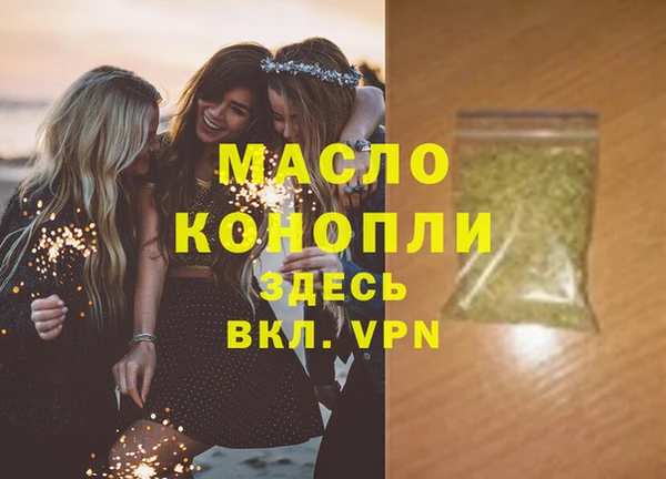 шишки Надым