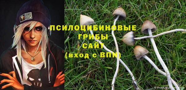 гашик Навашино