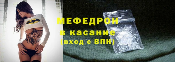 шишки Надым