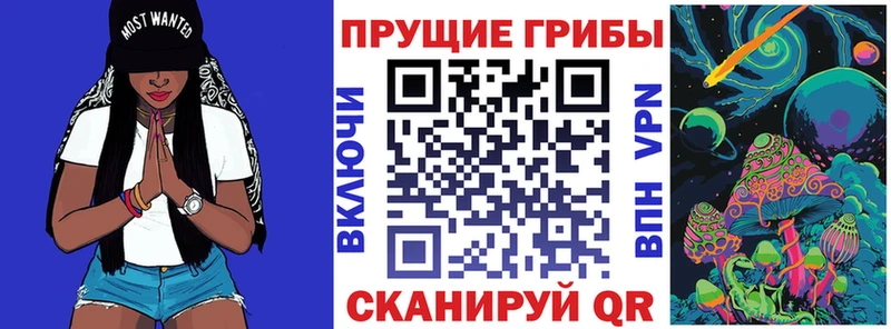 Псилоцибиновые грибы Psilocybe  shop как зайти  Котовск 
