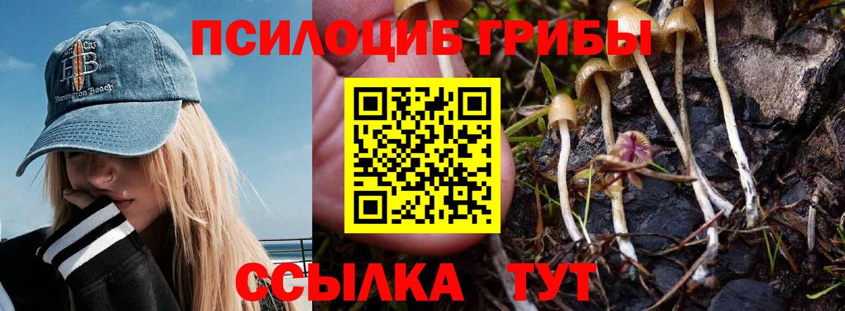 Псилоцибиновые грибы мухоморы Котовск